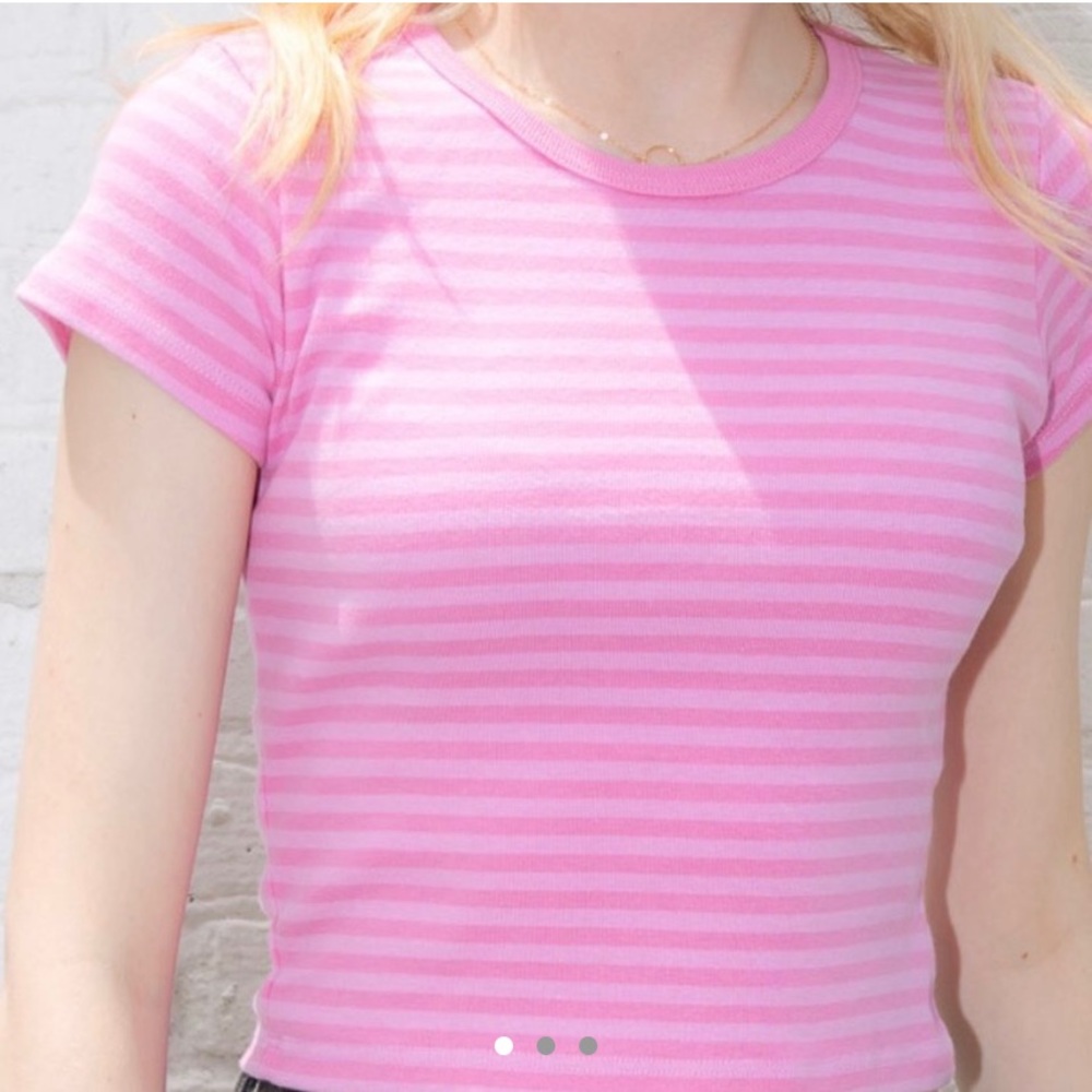 NWT Brandy melville pink striped ashlyn top